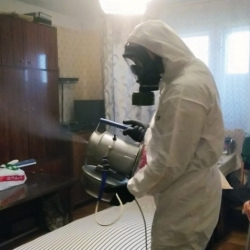 Дезинфекция от клопов в Невеле