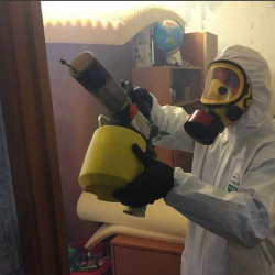 Уничтожение клопов в квартире. Невель